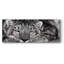Snow Leopard Sanctuary - Photographie sur toile tendue-789369198