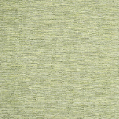Indoor Rug