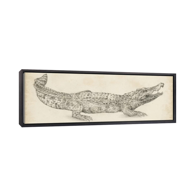 Impression sur toile « crocodile sketch » par Ethan Harper, H 16 po x l 48 po x 1,5 po, Toile avec cadre noir patiné