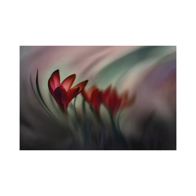 Crocus 1 Piece Wrapped Canvas Wall Art, 101.6 cm H x 66.04 cm W x 3.175 cm D