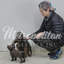 Dog Bronze Garden Statue