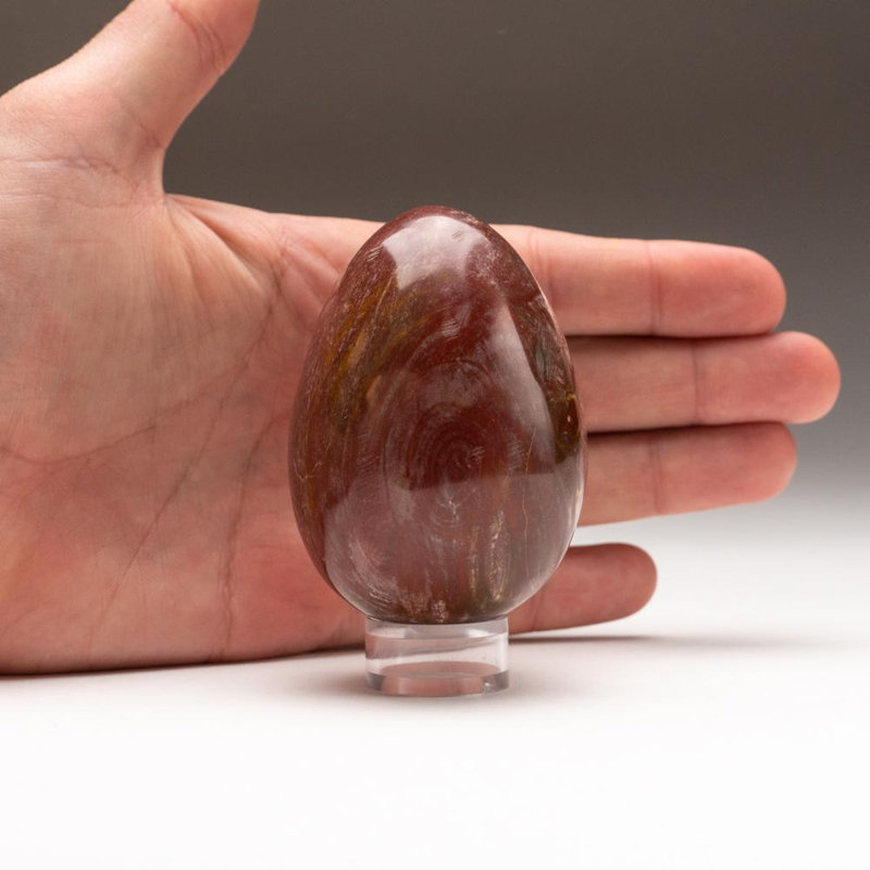Petrified Wood Egg, Yellow/Brown, 3" H x 2" W x 2" D