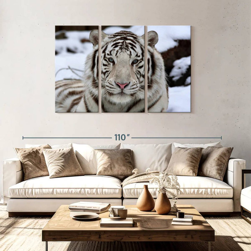 Glorieux tigre blanc, H 48 po x l 74 po