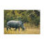 Wall Art on Canvas