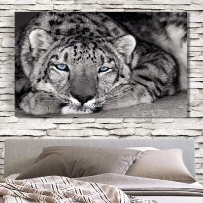 " Snow Leopard Sanctuary "