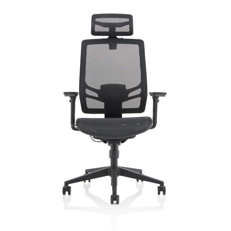 Ergo Twist Mesh Office Chair with Headrest