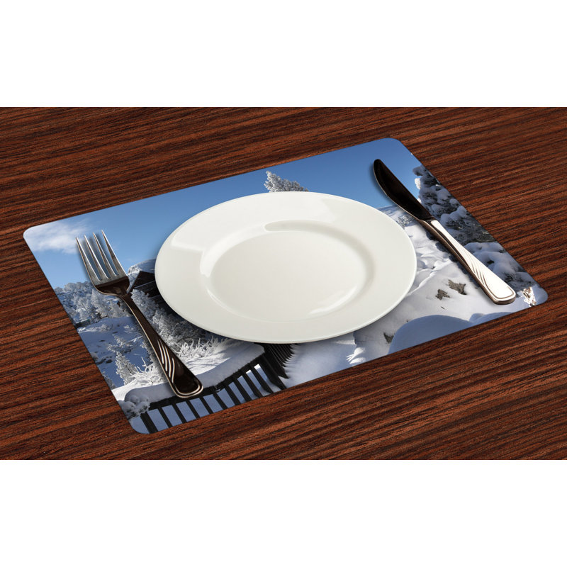 Polyester Abstract Rectangle Placemat