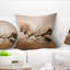 Gemsbok Antelopes Fighting - Coussin imprimé animal-30744096-30744100
