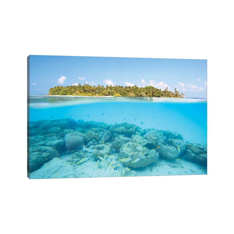 Island And Reef, Maldives by Matteo Colombo - Wrapped Canvas Print, 101.6 cm H x 66.04 cm W x 1.91 cm D