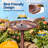 Outdoor Polyresin Antique Bird Bath with Solar Powered Round Pond Fountain-988849792