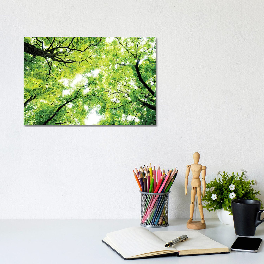 Panoramic Images - Wrapped Canvas Print