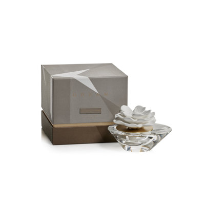Fruity Oils & Scents