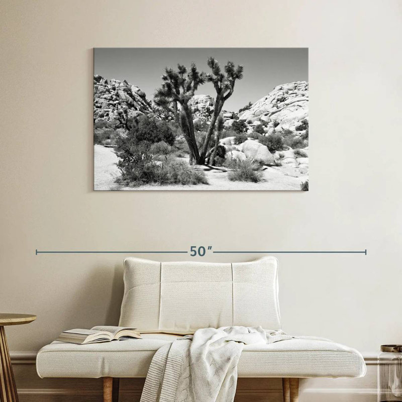 Harnek - Arizona noir - Joshua Tree II