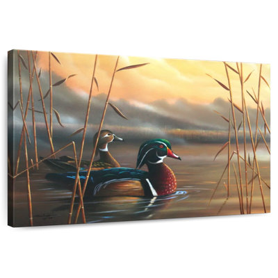 Brampt Wood Ducks