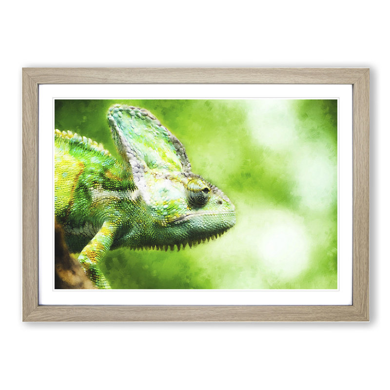 Chameleon Lizard Vol.1 - Framed Print, 27cm H x 36cm W x 2cm D, Oak Framed