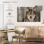 Loup gris-107949716
