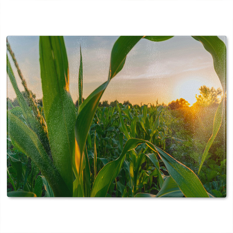 Corn and sun close up Designer Glass Chopping Board, 40cm L x 28cm W