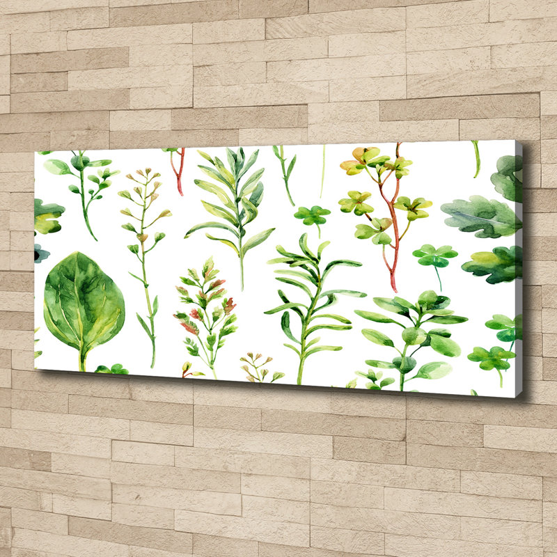 Herbs And Weeds - No Frame Print on Canvas