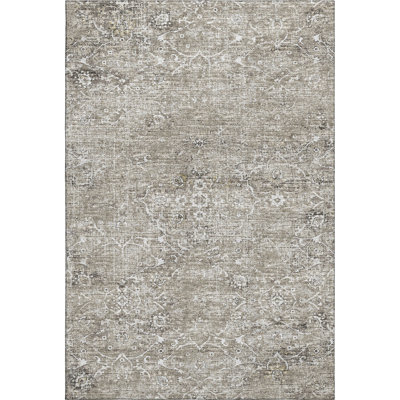 Premium Machine Washable Andreau AMF92 Gray Rug