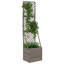 Planter Box-592950535