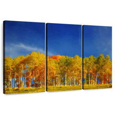 Harnek Blue Sky Over Aspen Trees