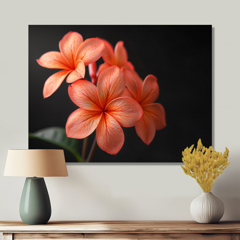 Décoration murale Kinsman - Plumeria, H 16 po x l 32 po x P 1 po, Toile tendue