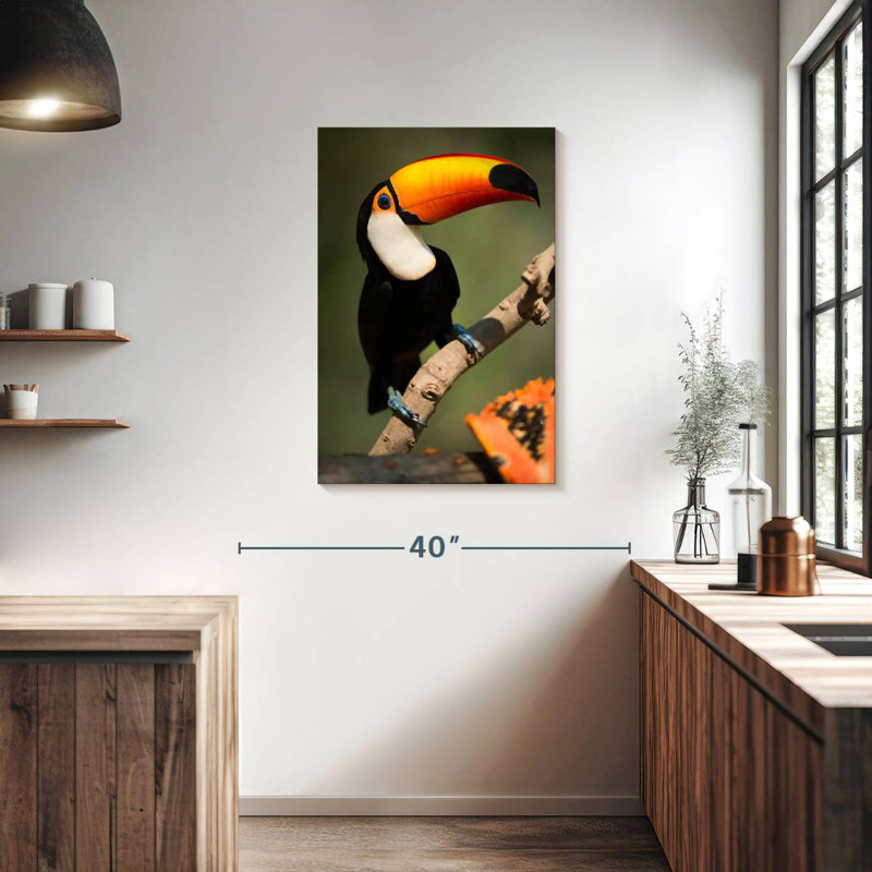Brampt Adorable Toucan, 36" H x 24" W