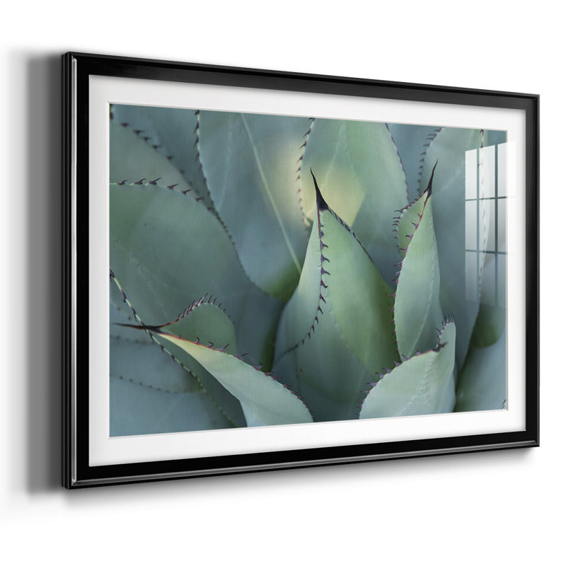 «Blue Agave I», impression sur papier, H 30 po x l 44 po x P 1,5 po, Noir