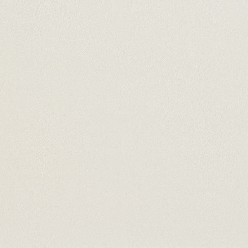 Vinyle pour l'extérieur / l'intérieur, Os