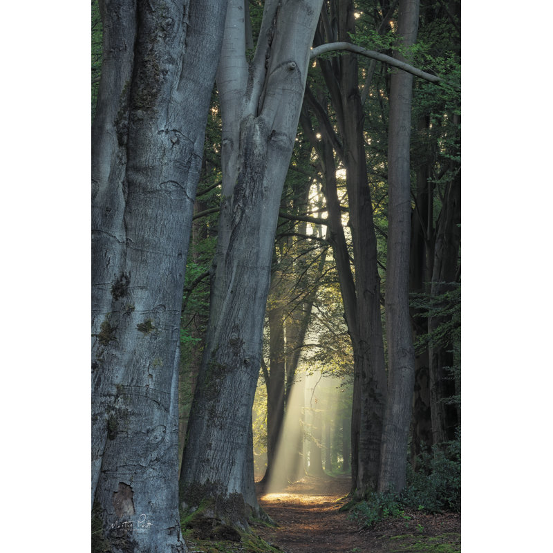 «Tunnel of Light on Canvas» par Martin Podt, reproduction, H 12 po x l 8 po x P 1,25 po