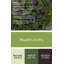 Art mural vert hawaïen Lilikoi Vines-516478503