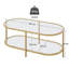Glass Oval Coffee Table-2065294565