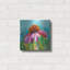 «Coneflower» par St. Hilaire Elizabeth-2111572916