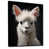 Black Floater Framed