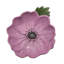 Set of 4  Bright Flower Plates