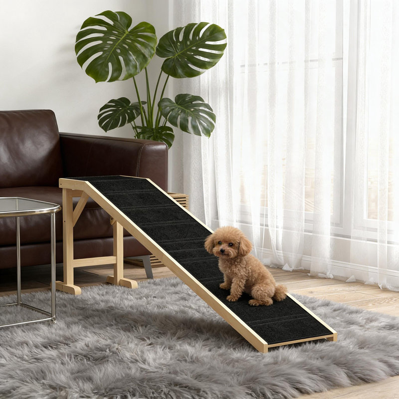 Rampe pratique pour animaux, rampe pour chien pour votre maison