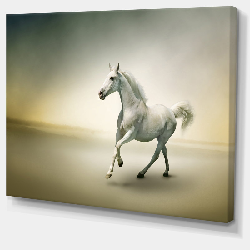 «White Horse in Motion», impression sur toile tendue, H 12 po x l 20 po