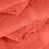 Corail