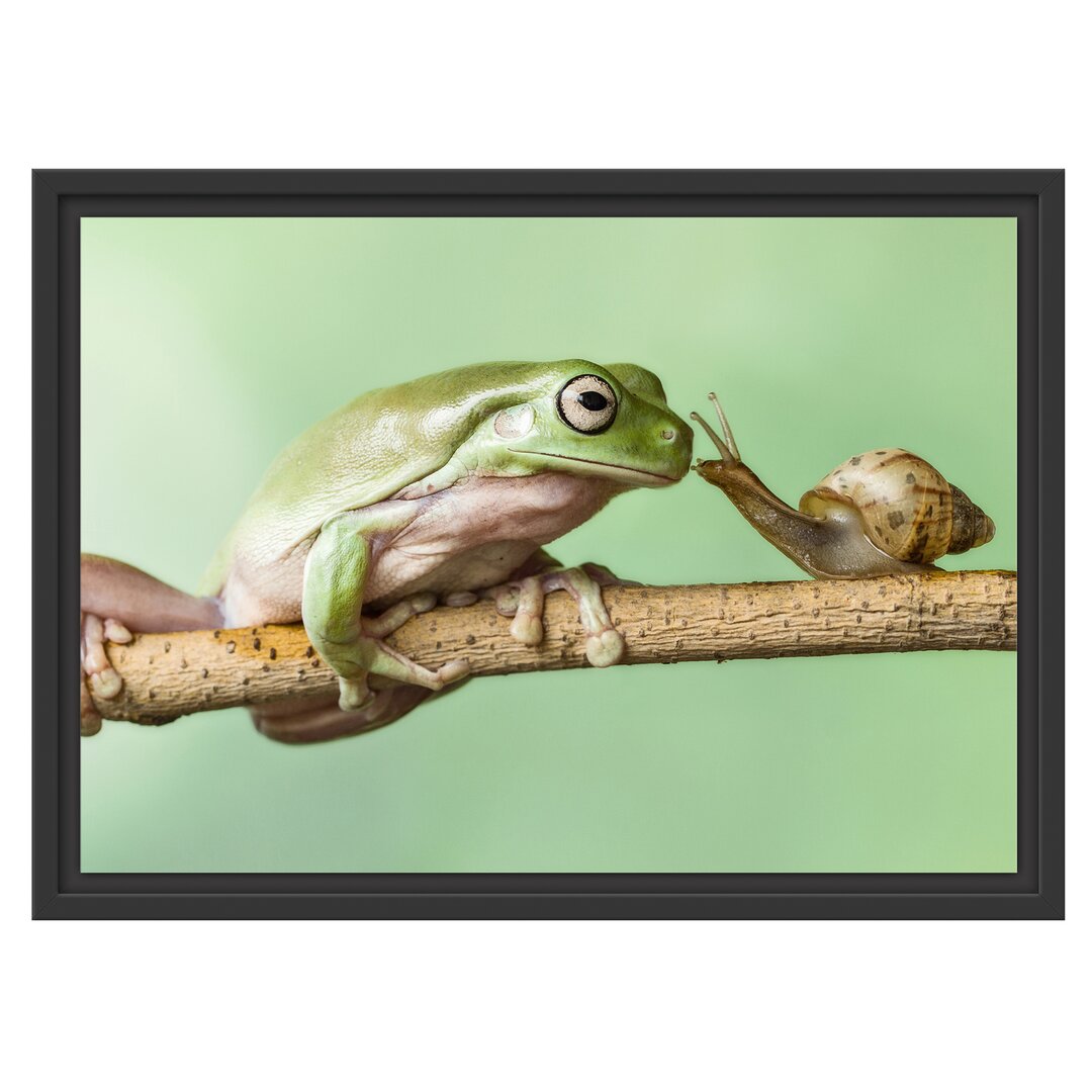 Gerahmtes Wandbild der Frosch und die Schnecke