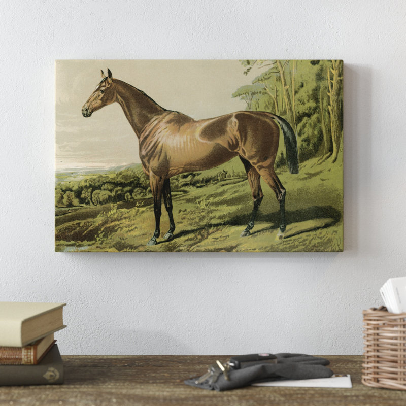 «Cassells Horse IV», reproduction d'art sur toile, H 12 po x l 18 po