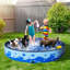 31cm H x 160cm W x 160cm D Foldable Dog Pool