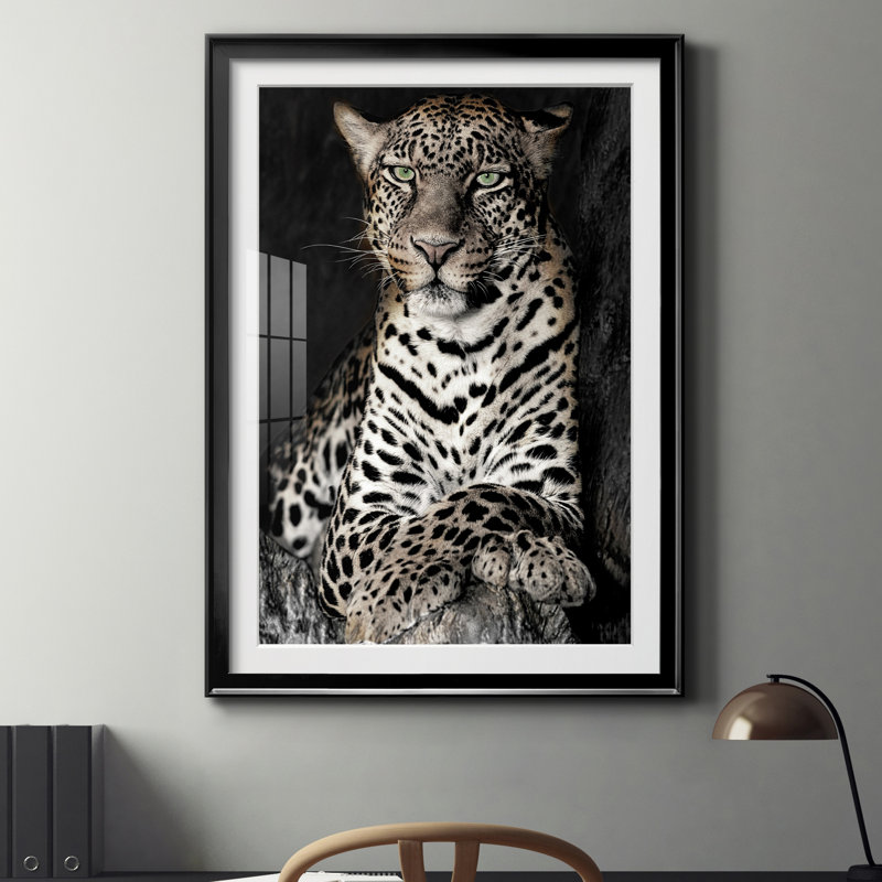 Léopard africain - reproduction de photo sur papier encadrée, Papier noir, H 22,5 po x l 30,5 po x P 1,5 po