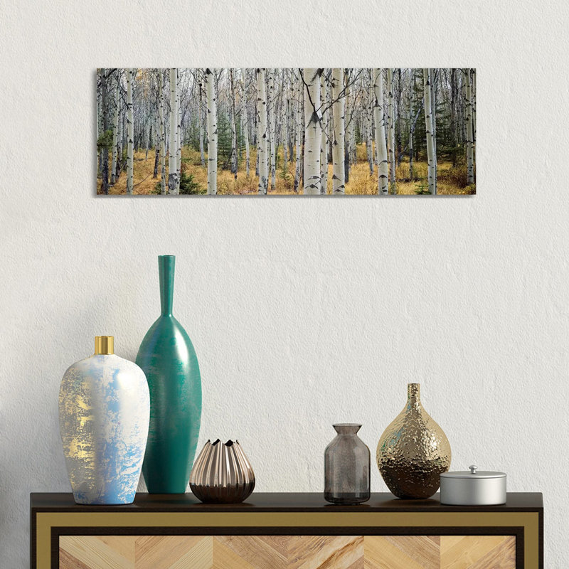 Aspen Trees In A Forest Alberta, Canada by Panoramic Images - Wrapped Canvas Panoramic Print, Wrapped Canvas