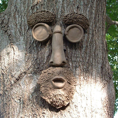 Shade Master Face d'arbre