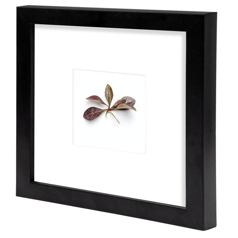 Arialynn Black Wood Picture Frame with Mat