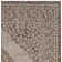 Amedee Performance Oriental Indoor/Outdoor Area Rug
