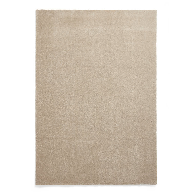Lozell area rug Machine Woven Rectangle, Rectangle 60 x 115cm