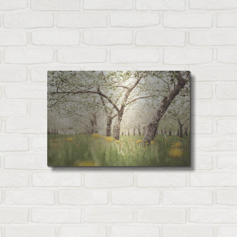 «Quiet Orchard» par Irene ThisCocki, H 16 po x l 24 po