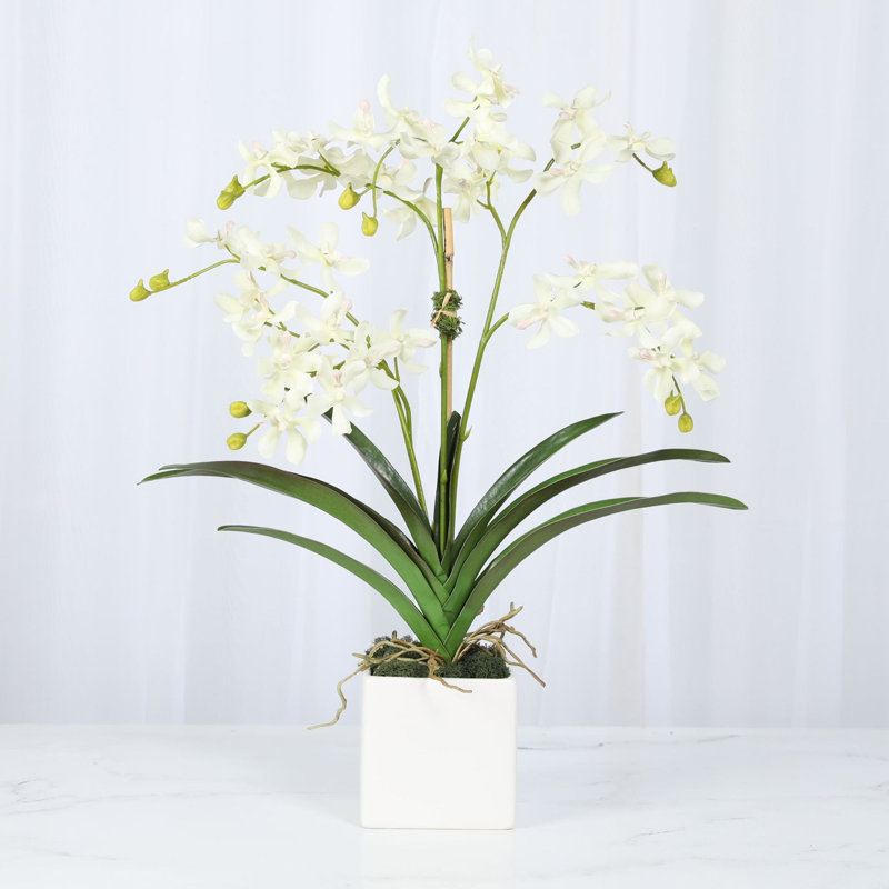 Faux orchidée dans un vase blanc, Blanc, Blanc