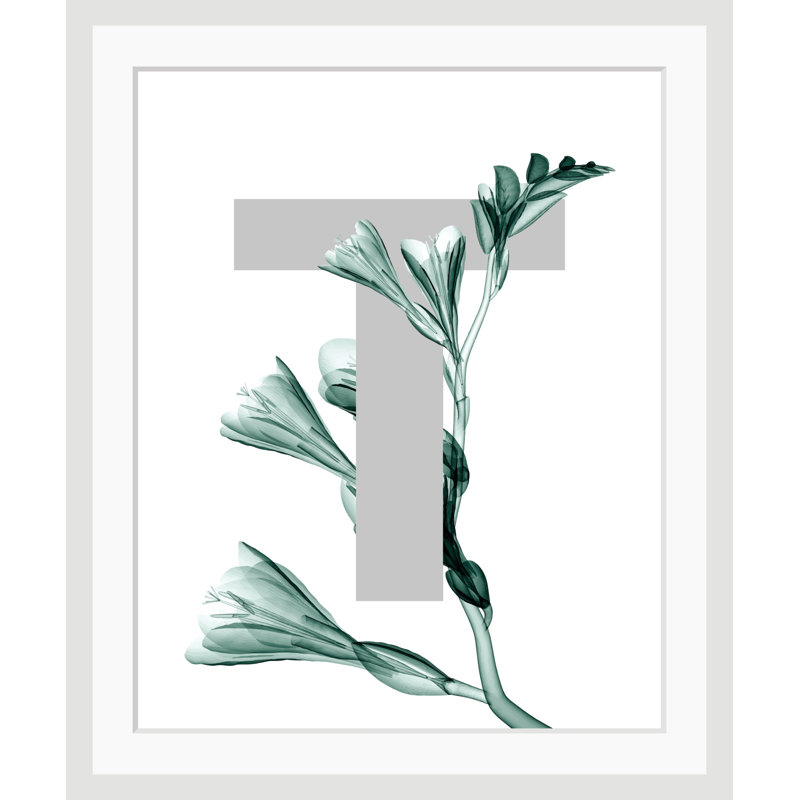 Letter T - Single Picture Frame Print, 40 cm H x 30 cm W